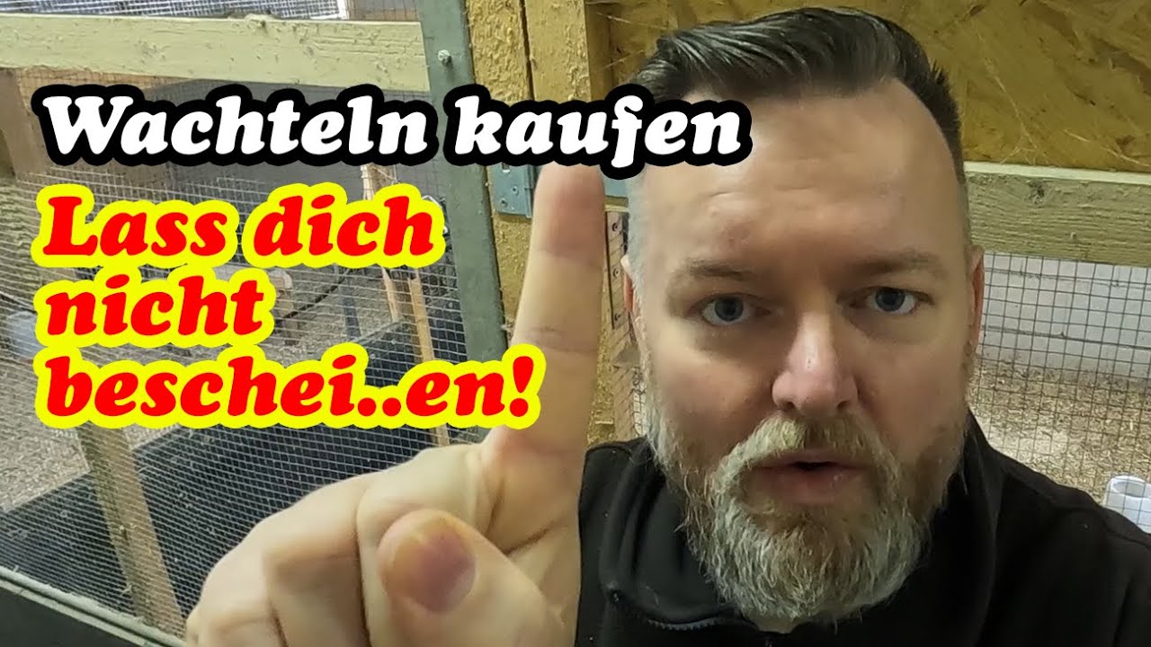 Wachteln kaufen - Geschlecht erkennen mit Beckenabstand & keine Hähne untergejubelt bekommen