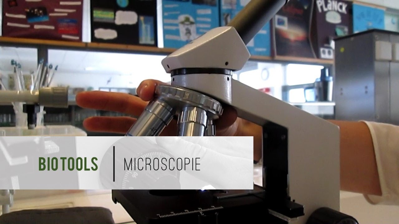 De onderdelen van de MICROSCOOP | Microscopieserie