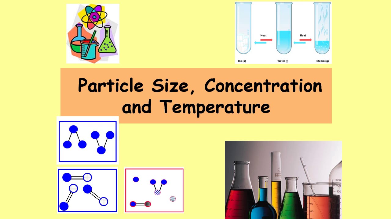 Rate 03 Particle Size, Concentration and Temperature