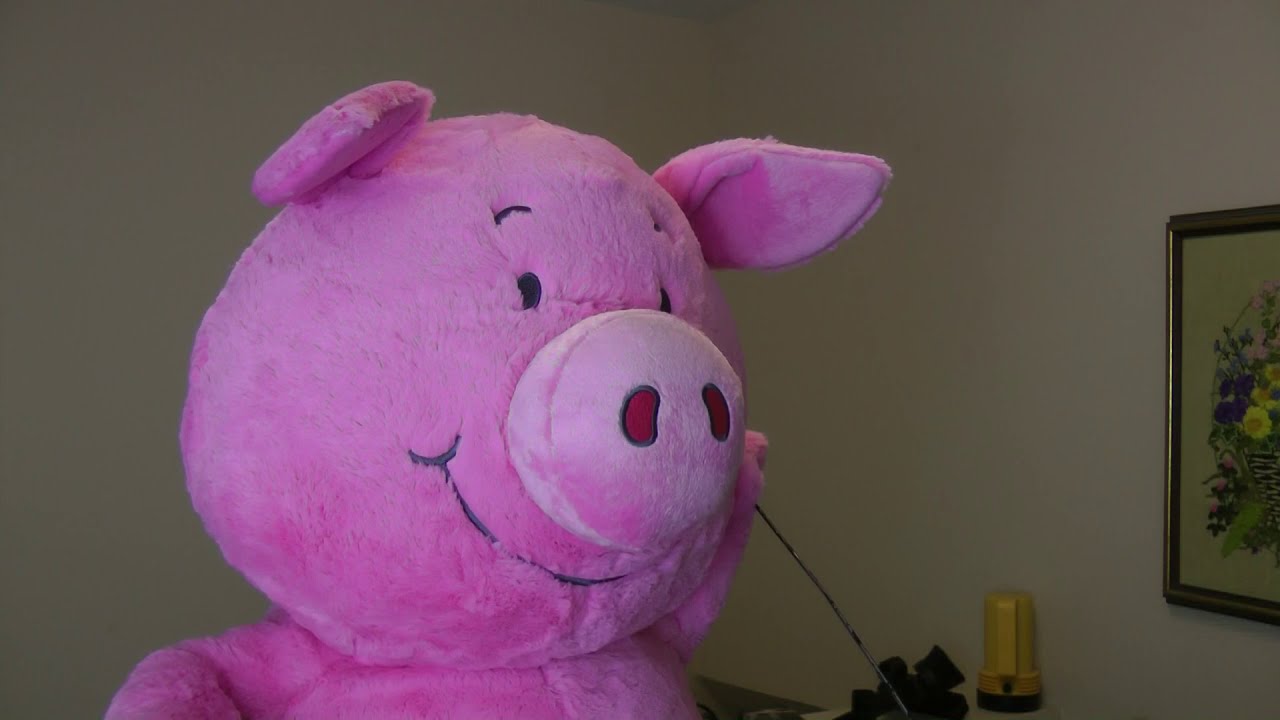 "FINALE Ep. 3 of 3 "Lonnie 2020: The Percy Situation, cc: Tom Daley & Percy Pig"