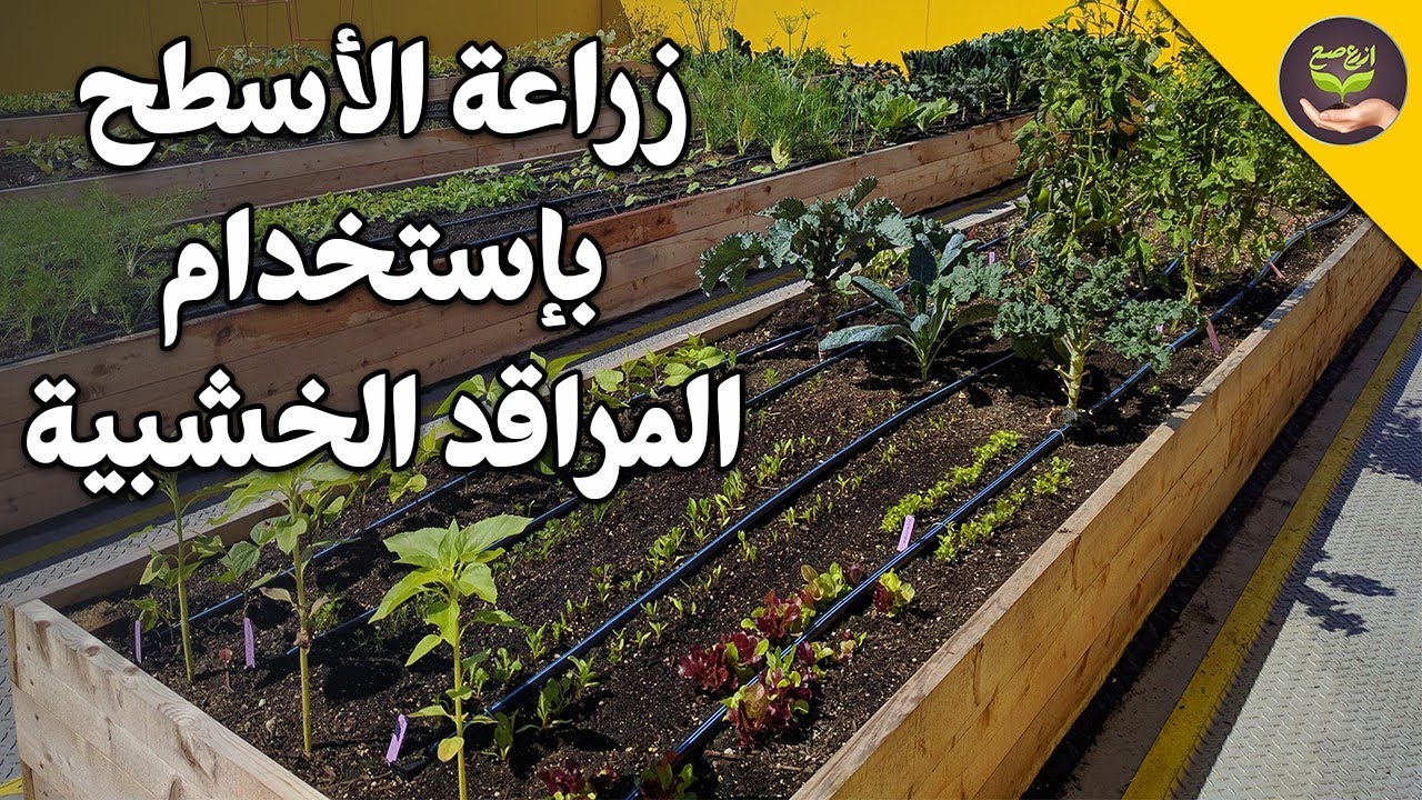 زراعة الاسطح بالمراقد الخشبية