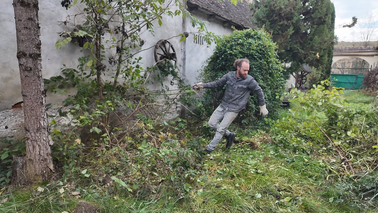 Am reusit sa curat curtea Casei Sasesti din Mures