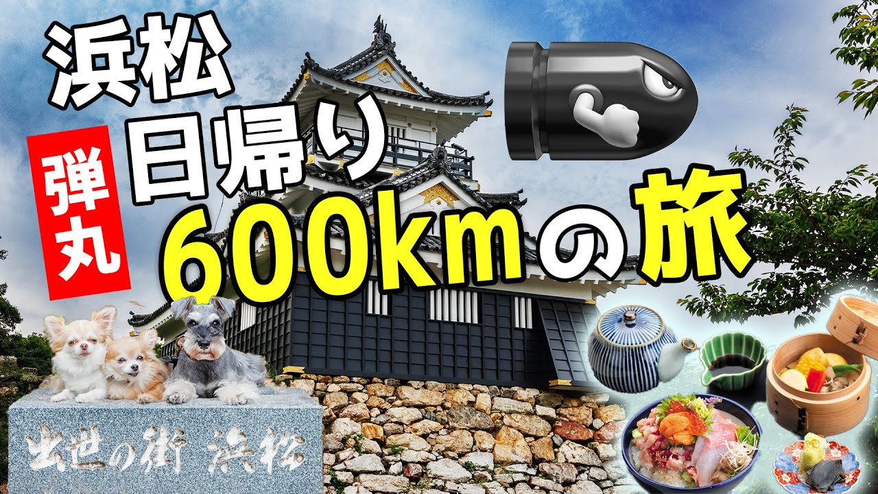 【浜松日帰り600kmの旅】ものづくりの町！浜松へ！とある目的で日帰りしつつ！ちゃっかりグルメと観光も楽しんじゃいました【浜松城】