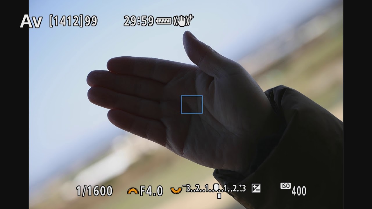 Canon RF70-200mm F4L IS USM AF（EOS R5）