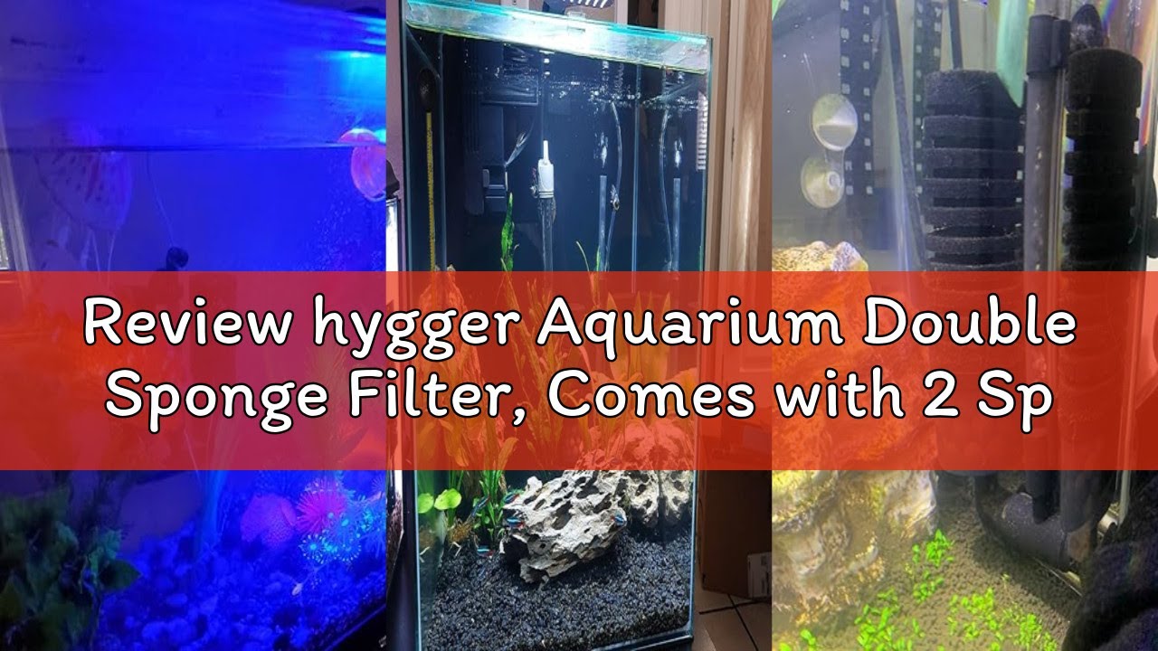 Review hygger Aquarium Double Sponge Filter, Comes with 2 Spare Sponges (S)