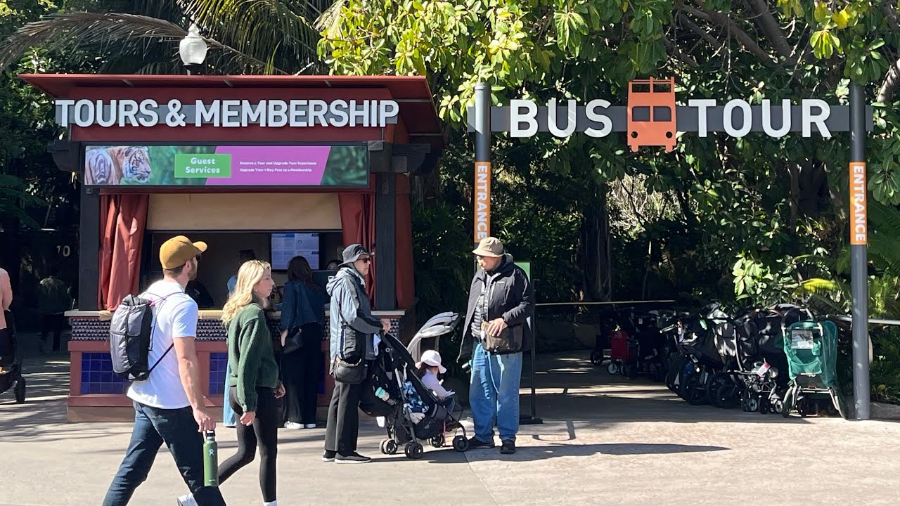 Full San Diego Zoo bus tour (only bus driver commentary)