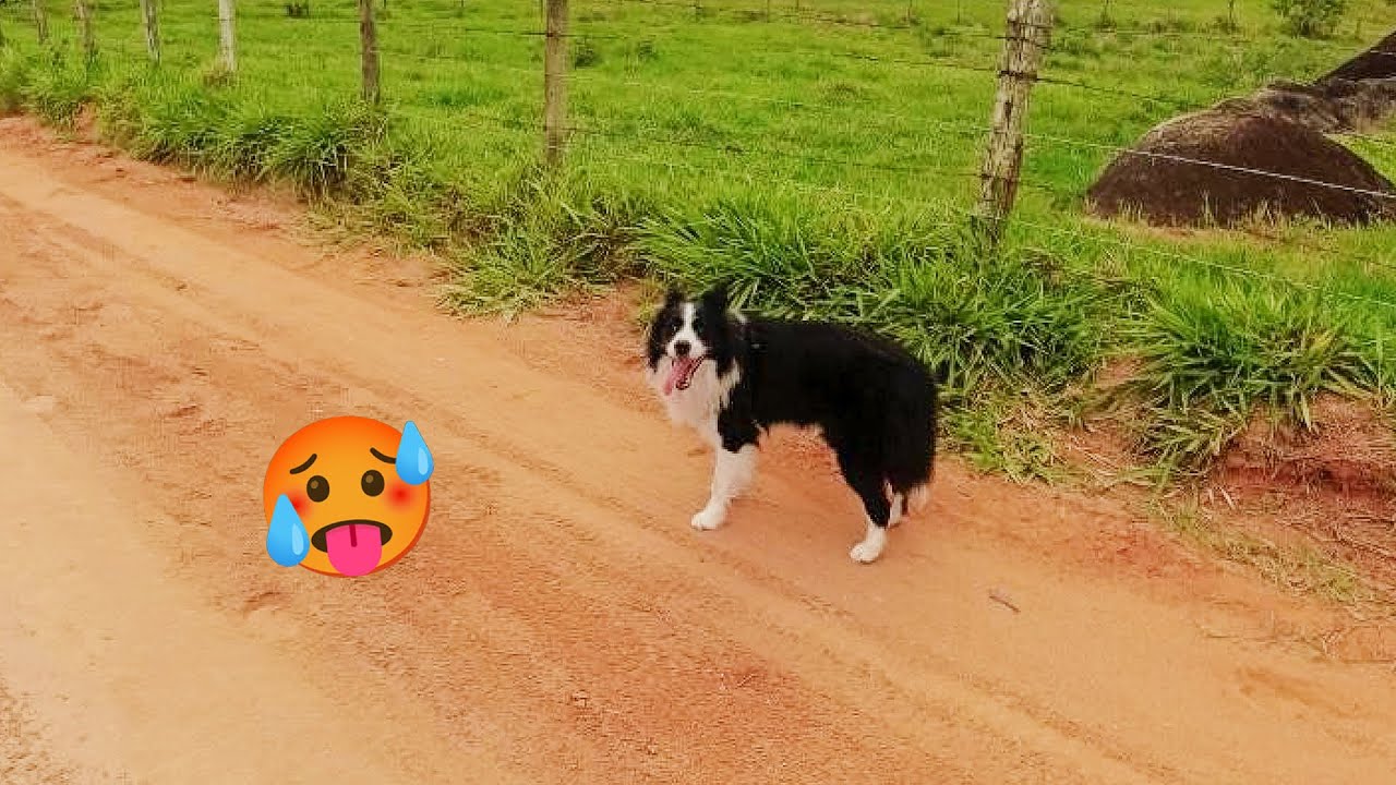 Tá Calor DEMAIS! Mostrando a Rotina do Luke no Calorão 🔥