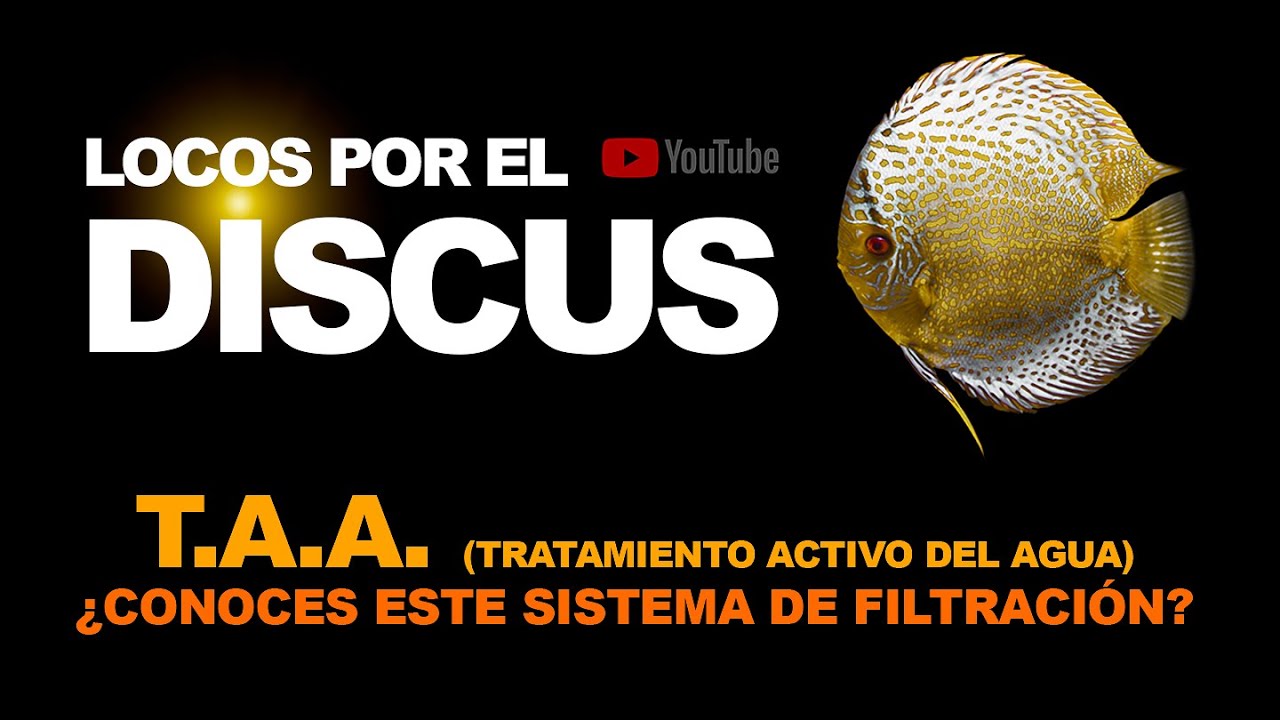 T.A.A. TRATAMIENTO ACTIVO DEL AGUA