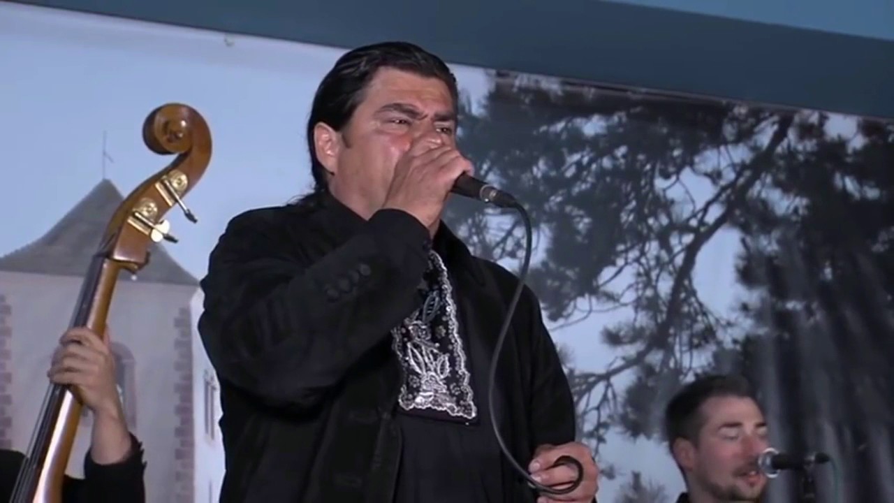 Slavonski dukati - Običan pijanac -Live