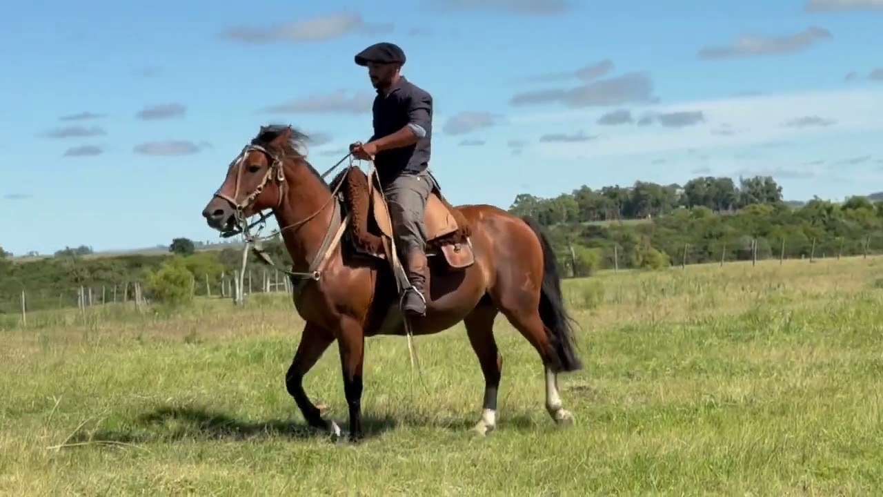 LOTE 17 Del Paso Gayuga