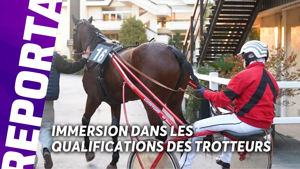 TOUT SAVOIR SUR LES QUALIFICATIONS DES TROTTEURS | Guest Star avec David Armellini
