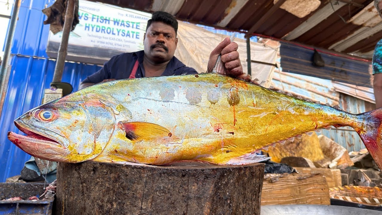 KASIMEDU SELVAM TREVALLY FISH CUTTING | UK SONS MARINE 