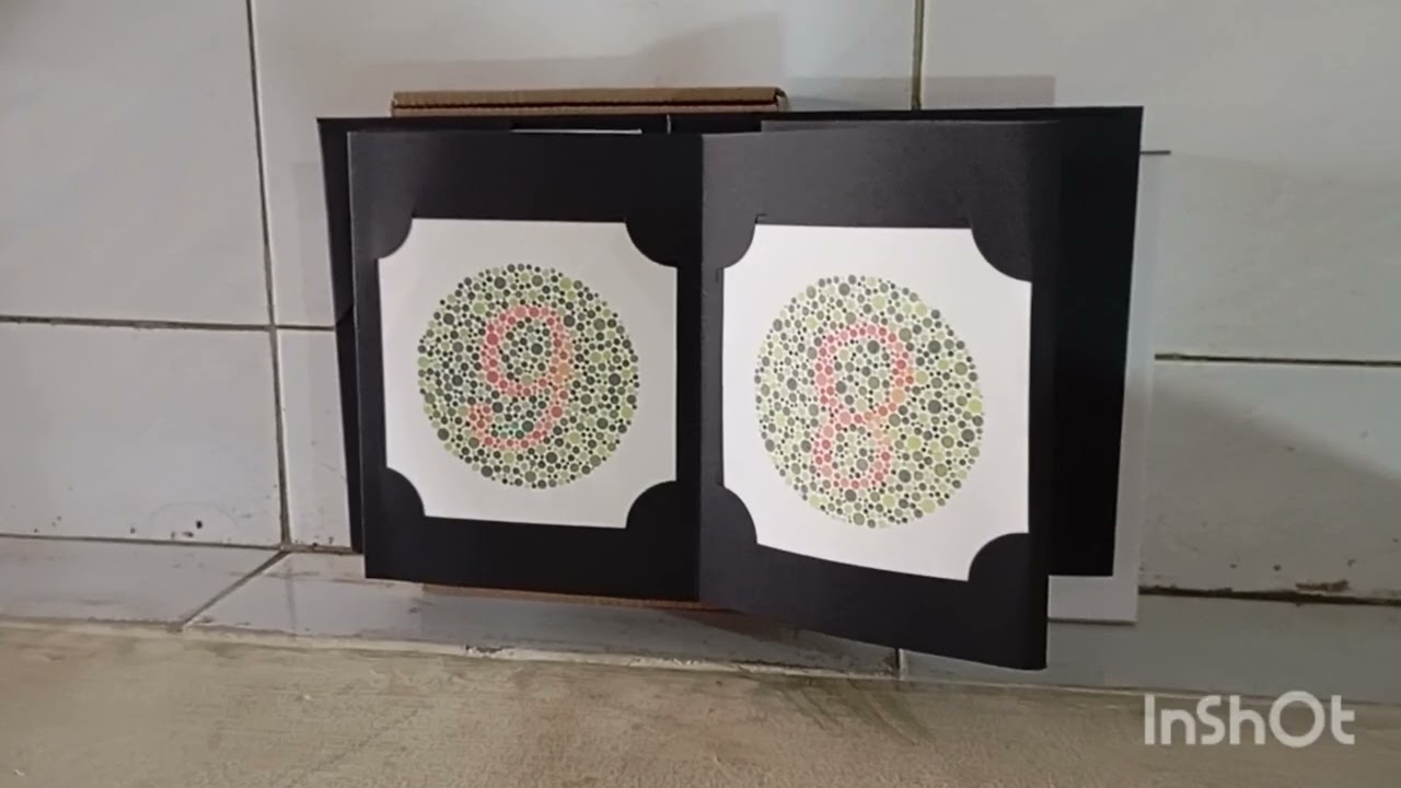 Buku ishihara 38 plate tes buta warna