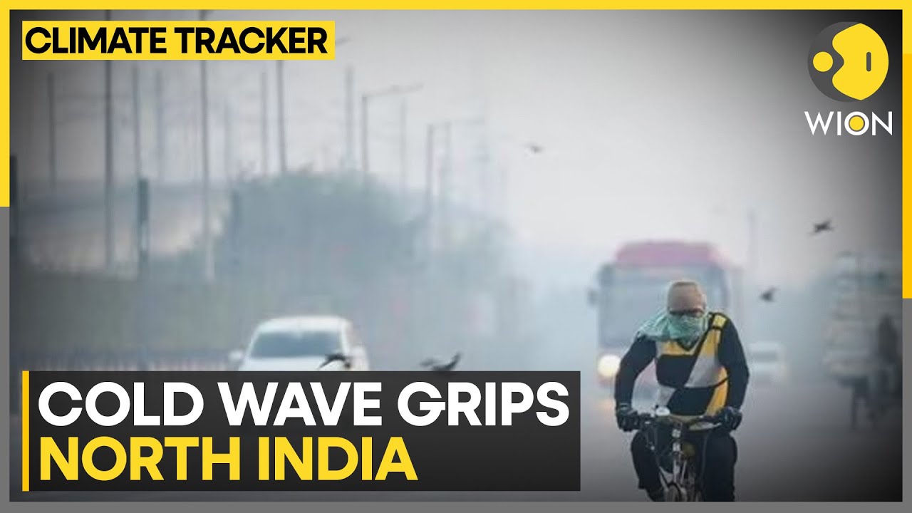 Delhi Records Season's Coldest Morning, Temperature Dips To 4.5&deg;C | WION Climate Tracker
