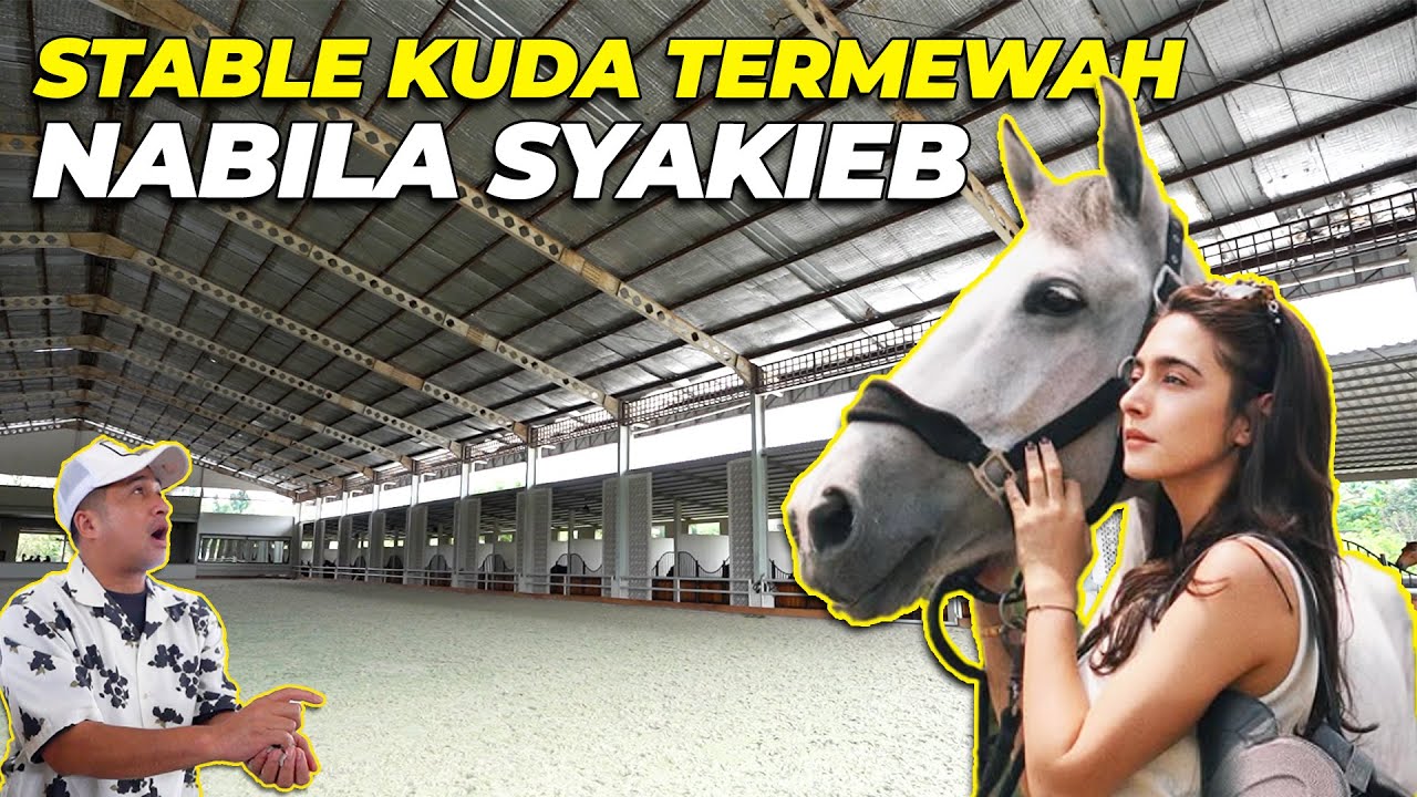 MELONGO..! STABLE KUDA NABILA SYAKIEB BIKIN IRII..!!