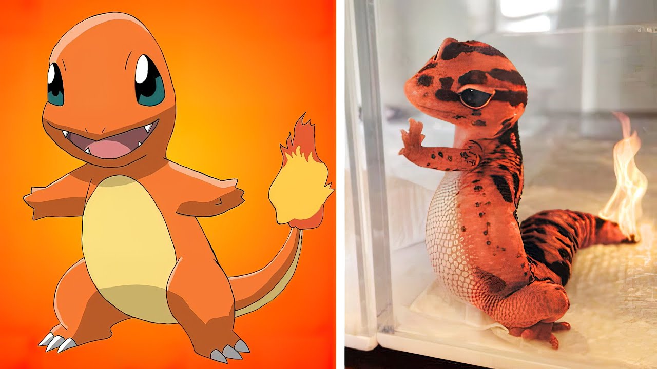 20 POKEMON EN LA VIDA REAL