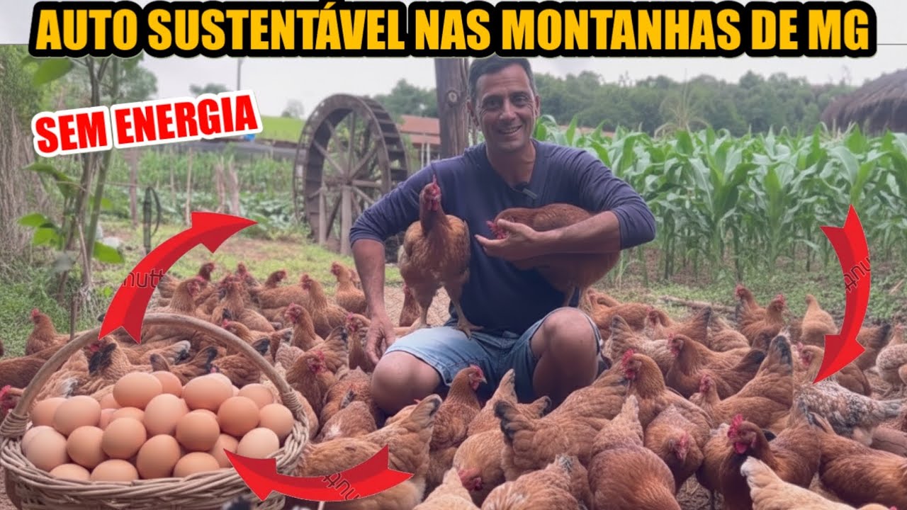 EM PEQUENO S&Iacute;TIO ELE CONQUISTOU A SUSTENTABILIDADE 