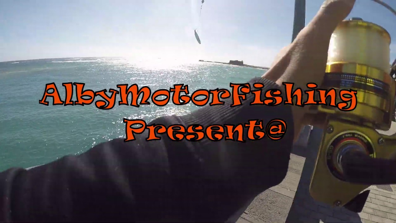 Test ignorante Daiwa GS9