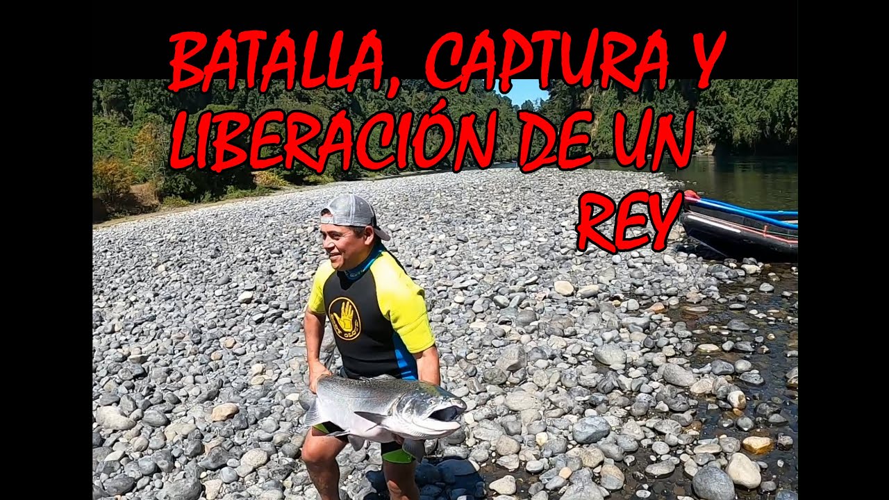 BATALLA, CAPTURA Y LIBERACIÓN DE UN REY #pescadeportiva