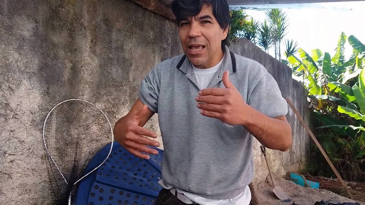 COMO CORRIGIR O PH E ZERAR A AMÔNIA SEM GASTOS NA CRIAÇÃO DE PEIXES EM CAIXAS D`ÁGUA