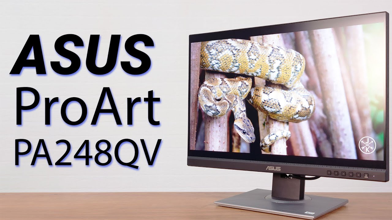 Обзор ASUS ProArt Display PA248QV. Превосходный монитор для РАБОТЫ | Root Nation