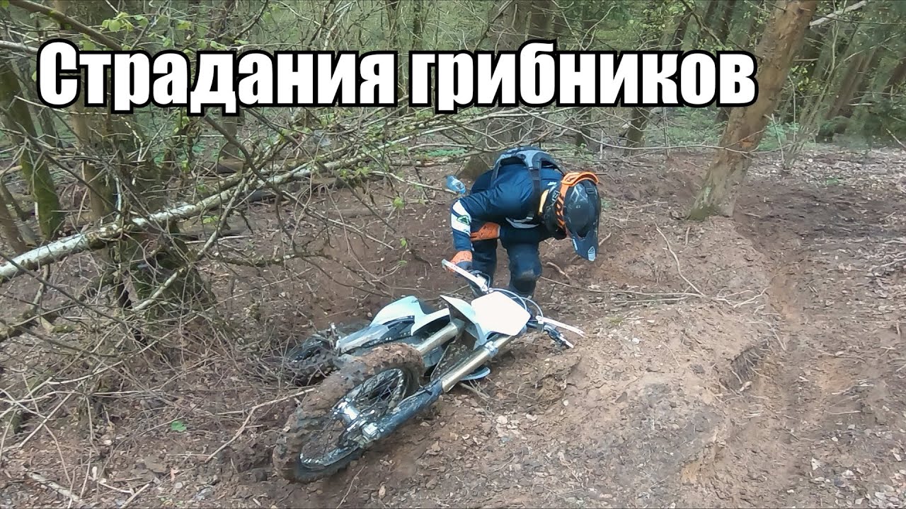 Sherco 125 и Stark Vark эндурят в Силичах