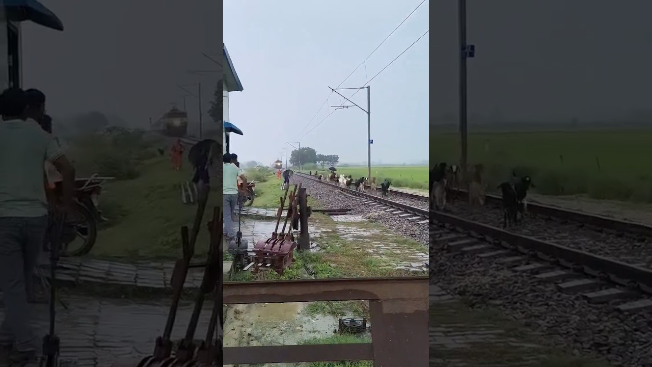 A Tragic Railway Track Accident in Uttar Pradesh #shorts