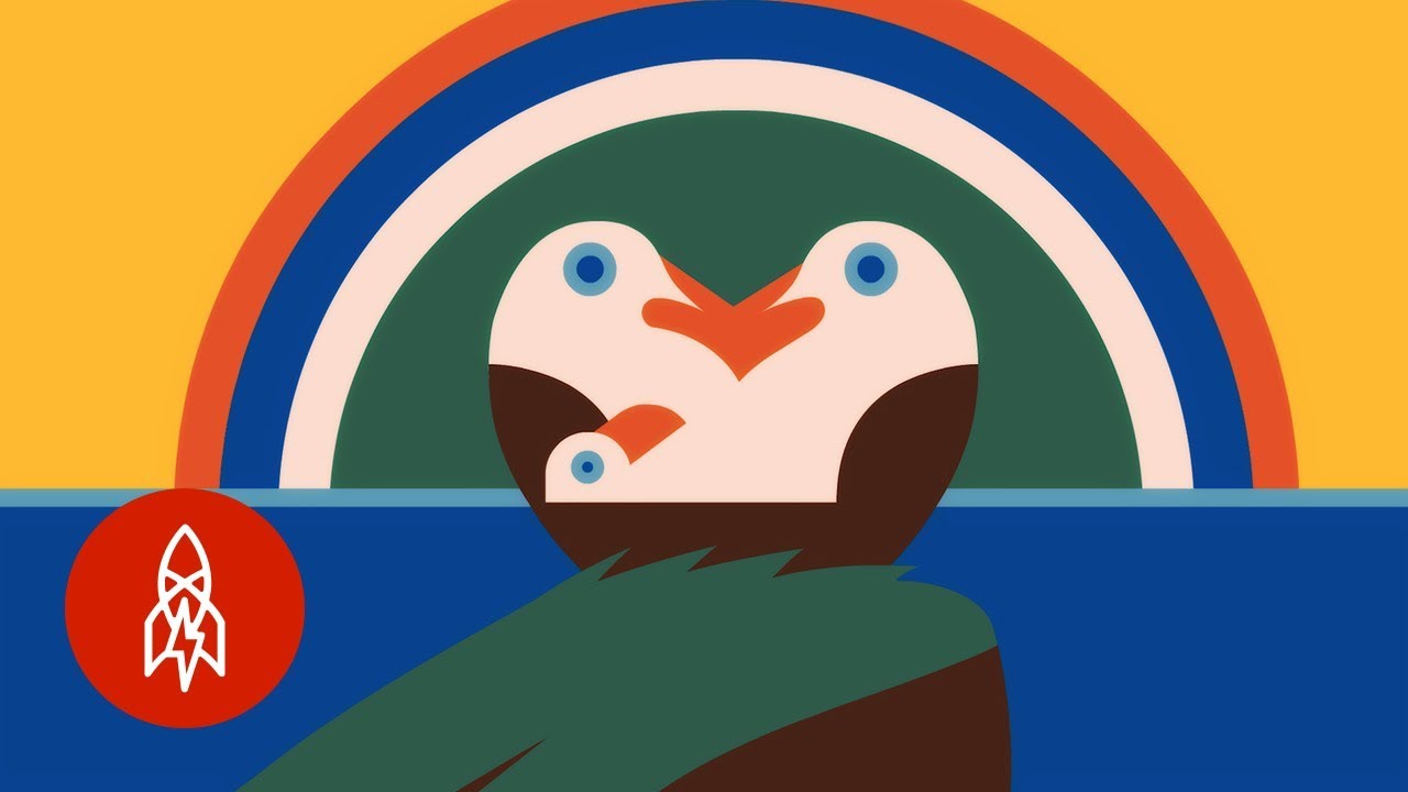The Surprising Role of Seagulls in the Pride Movement