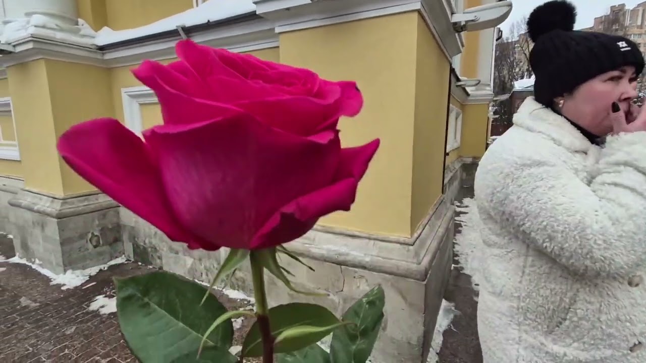 Москва, Покровский монастырь. 