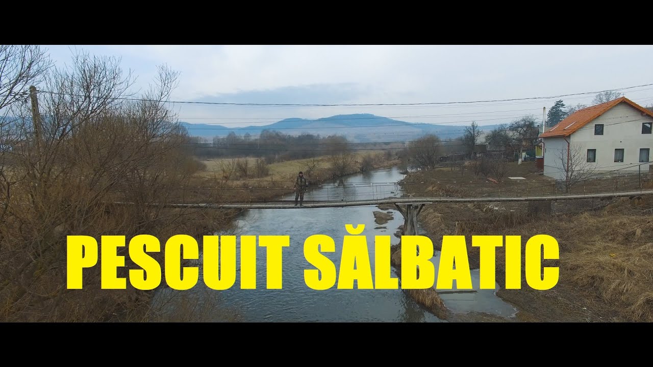 Pescuit la clean, rosioara, morunas si scobar!