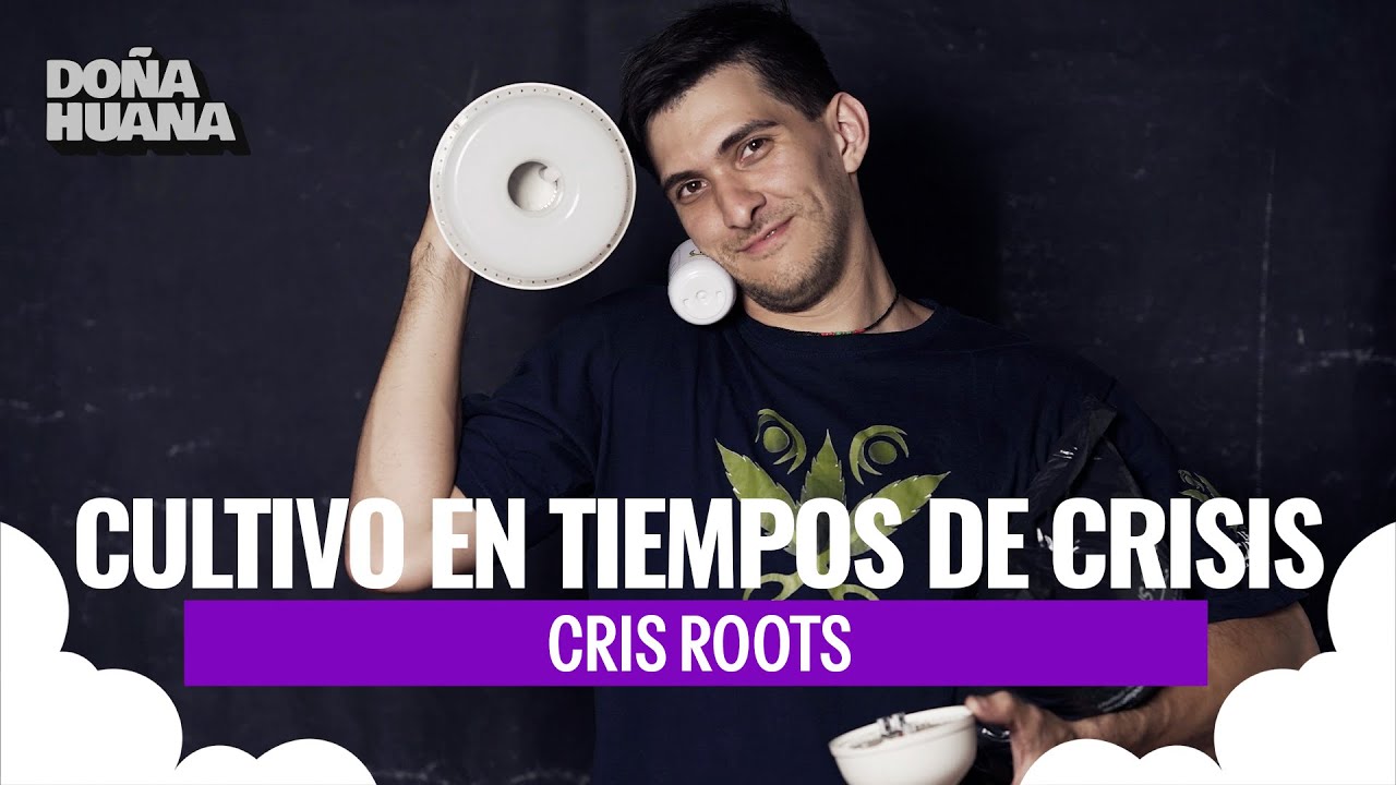 CULTIVO EN TIEMPOS DE CRISIS - BARATO Y BUENO