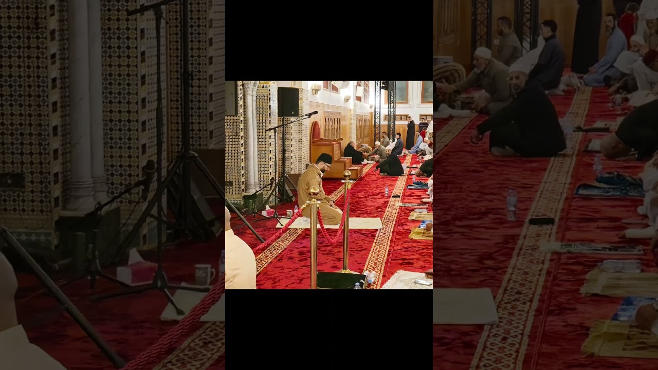 الأستاذ وديع شاكر: قراءة تبوريشة ما شاء الله 📚📖