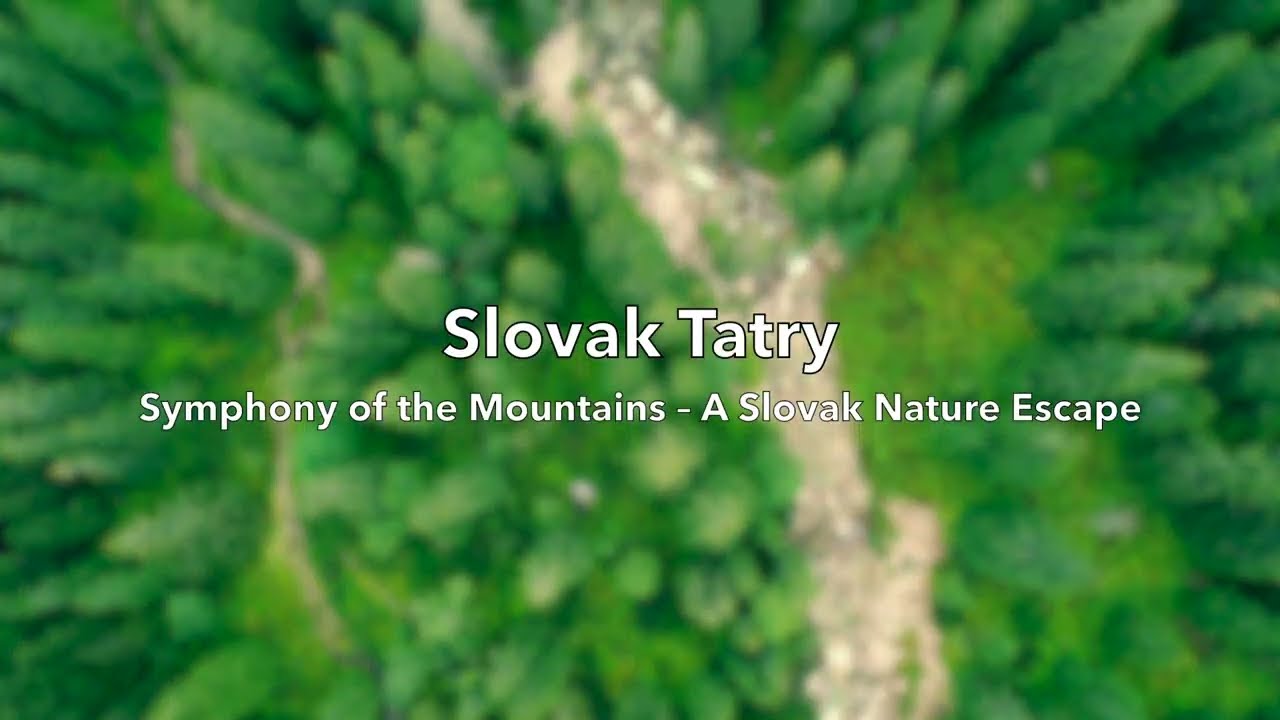 Whispers of the  Slovak Tatras – Calm in the Forests