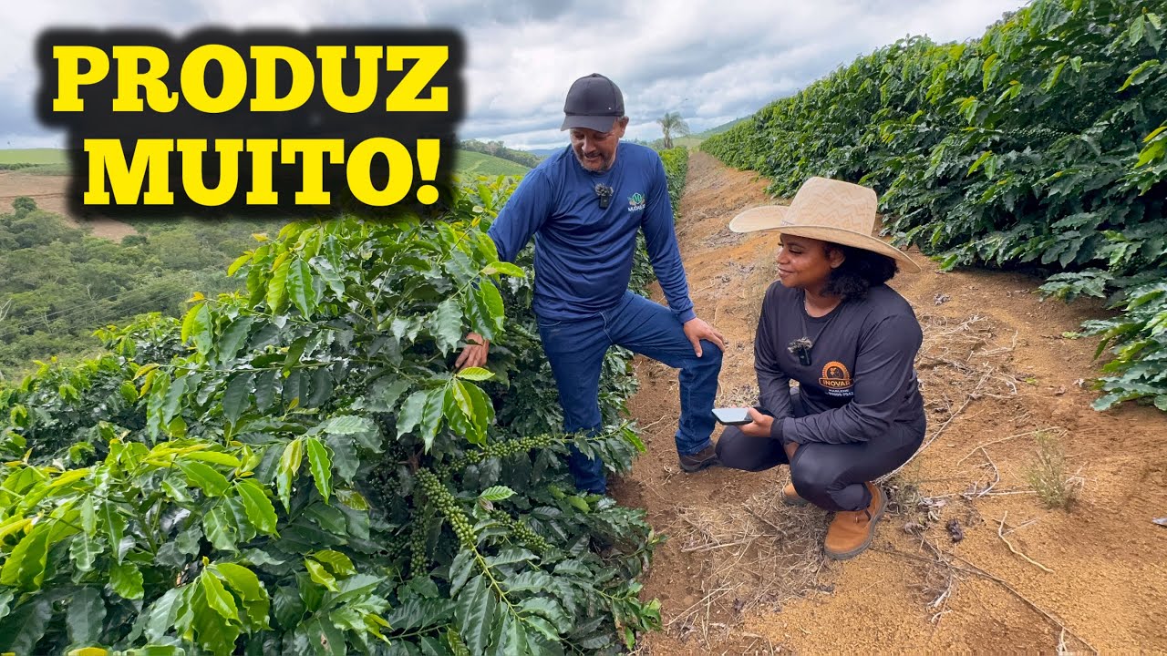  Os Segredos do Café Produtivo!
