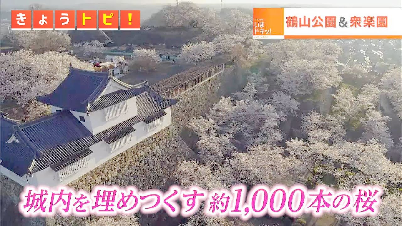 岡山県北 鶴山公園の桜とイベントを紹介｜きょうトピ！（2022年4月4日放送）