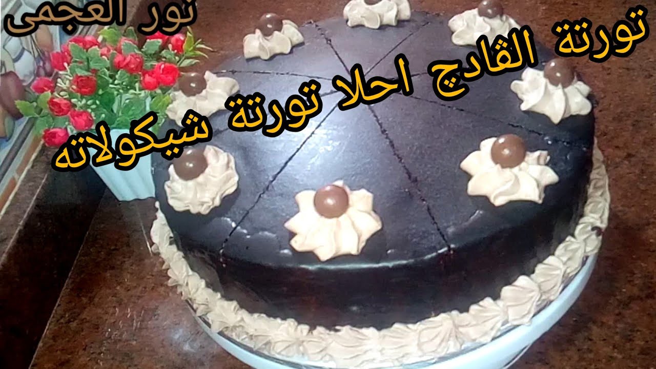 تورته الڤادچ احلا تورته شيكولاته تورتة الكافيهات بثلاث بيضات فقط