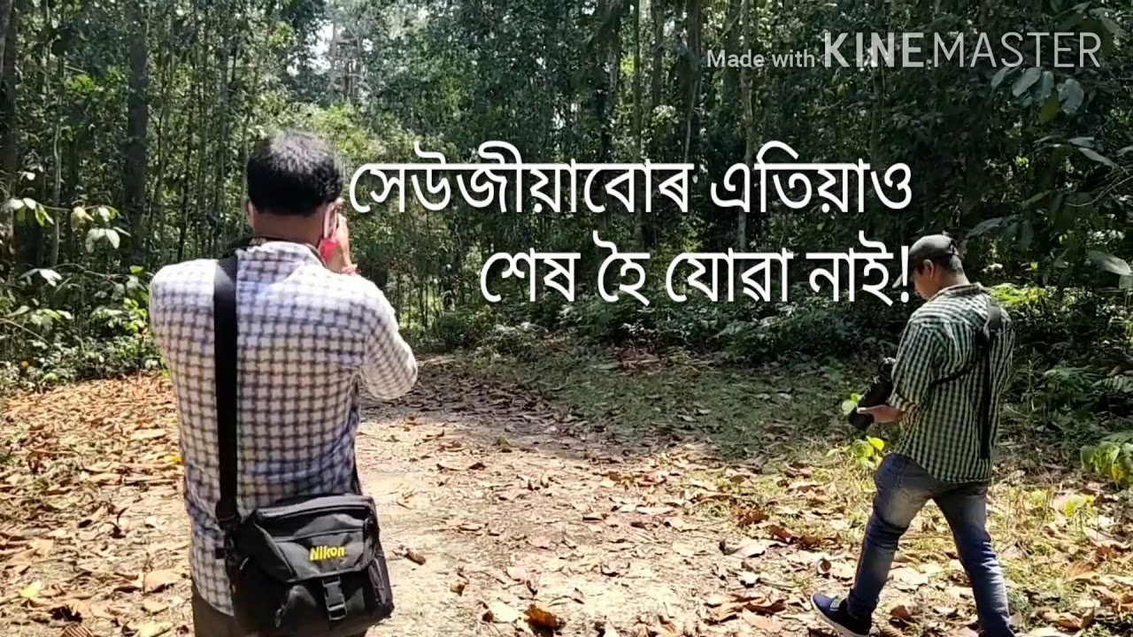 Beauty Of Nature ( Dilli Reserve Forest)