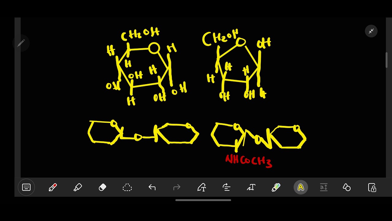 Carbohydrates Full topic