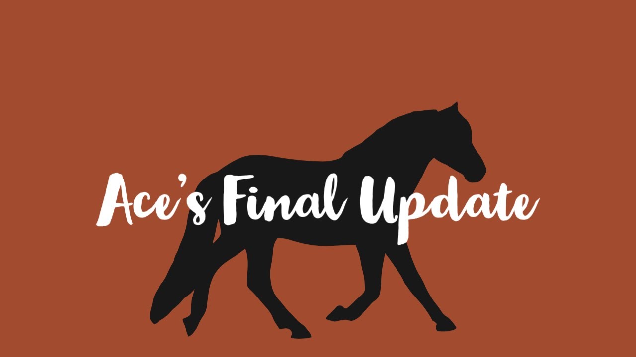 Ace's Final Update | SSO RRP | Ashley Eventing