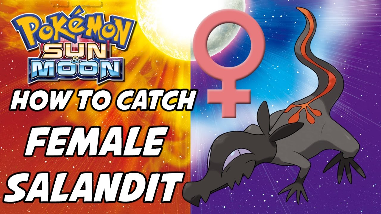 How to Catch Female Salandit in Pokemon Sun and Moon!