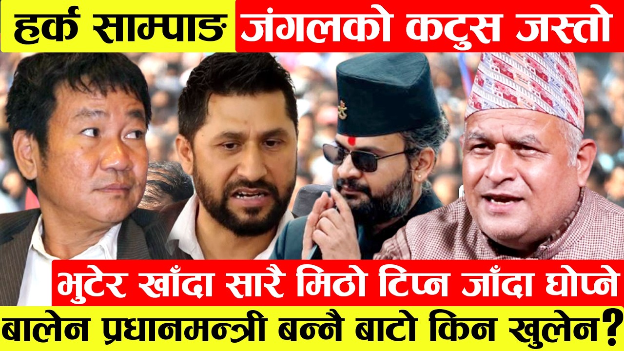 Harka Sampangजंगलको कटुस जस्तो।भुटेर खाँदा सारै मिठो टिप्न जाँदा घोपेरै हैरान।Balen प्रधानमन्त्री...