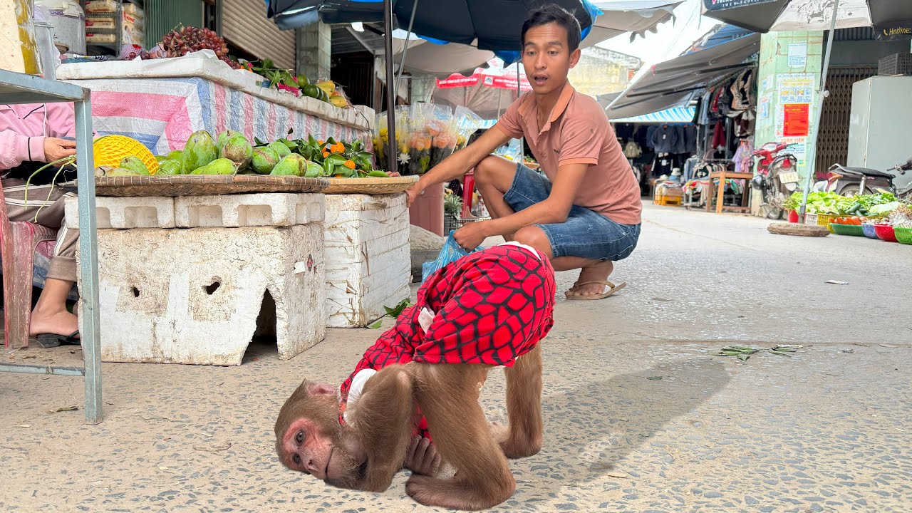 Cutis funny at market
