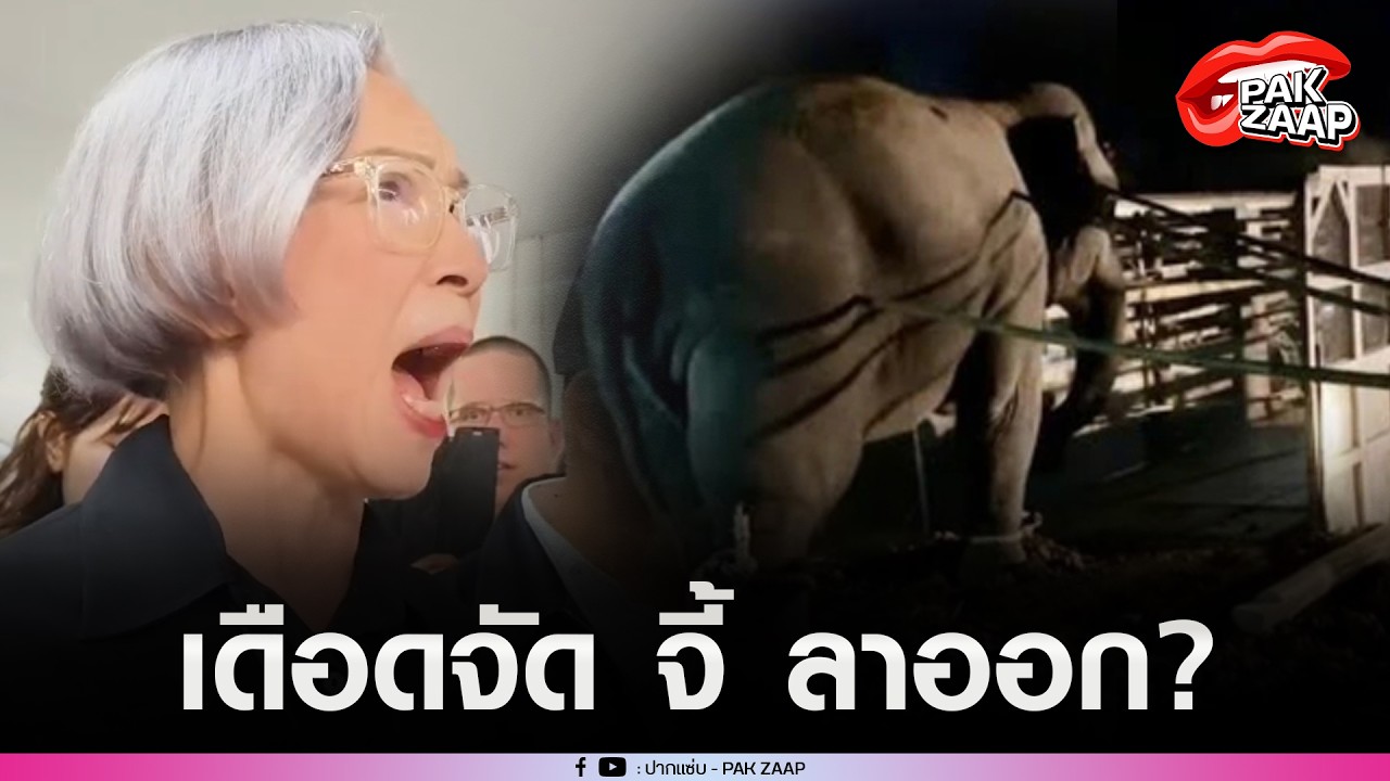 'ตุ๊ก เดือนเต็ม'เดือดจัด บุก'กรมอุทยานฯ'จี้'อธิบดีฯ'ลาออก หลัง'ช้างป่า สีดอหูพับ'สิ้นใจ?