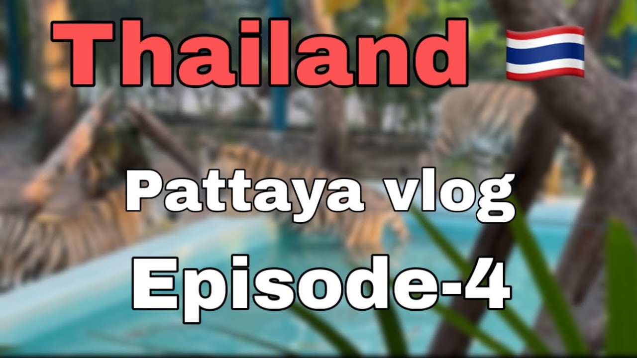 India 🇮🇳 to thailand 🇹🇭 || Pattaya vlog episode-4 || Shizia-Vlogs