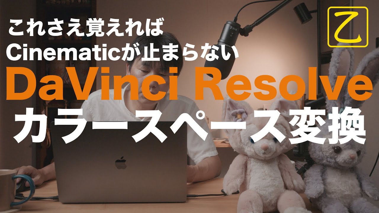 DaVinci Resolveカラースペース変換編 NIKON ZR R3D