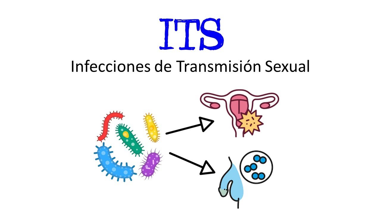 🦠 ¿Qué son las Infecciones de Transmisión Sexual (ITS) 🩸 Ejemplos 👫 [Fácil y Rápido] | BIOLOGÍA |