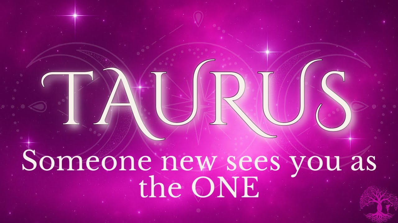 New Person Sees You As The One | TAURUS ♉ No Contact — Timeless Tarot Love Reading