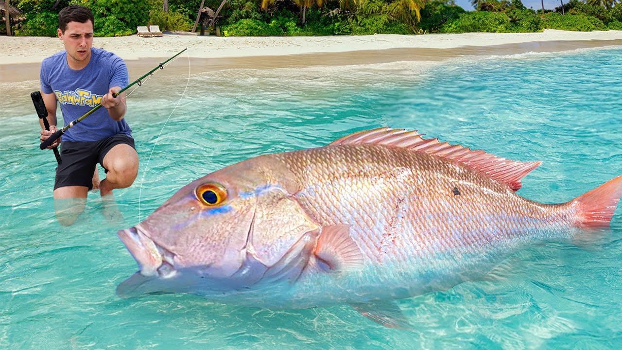 I Caught A Giant Sea Monsters to Feed My Pets...
