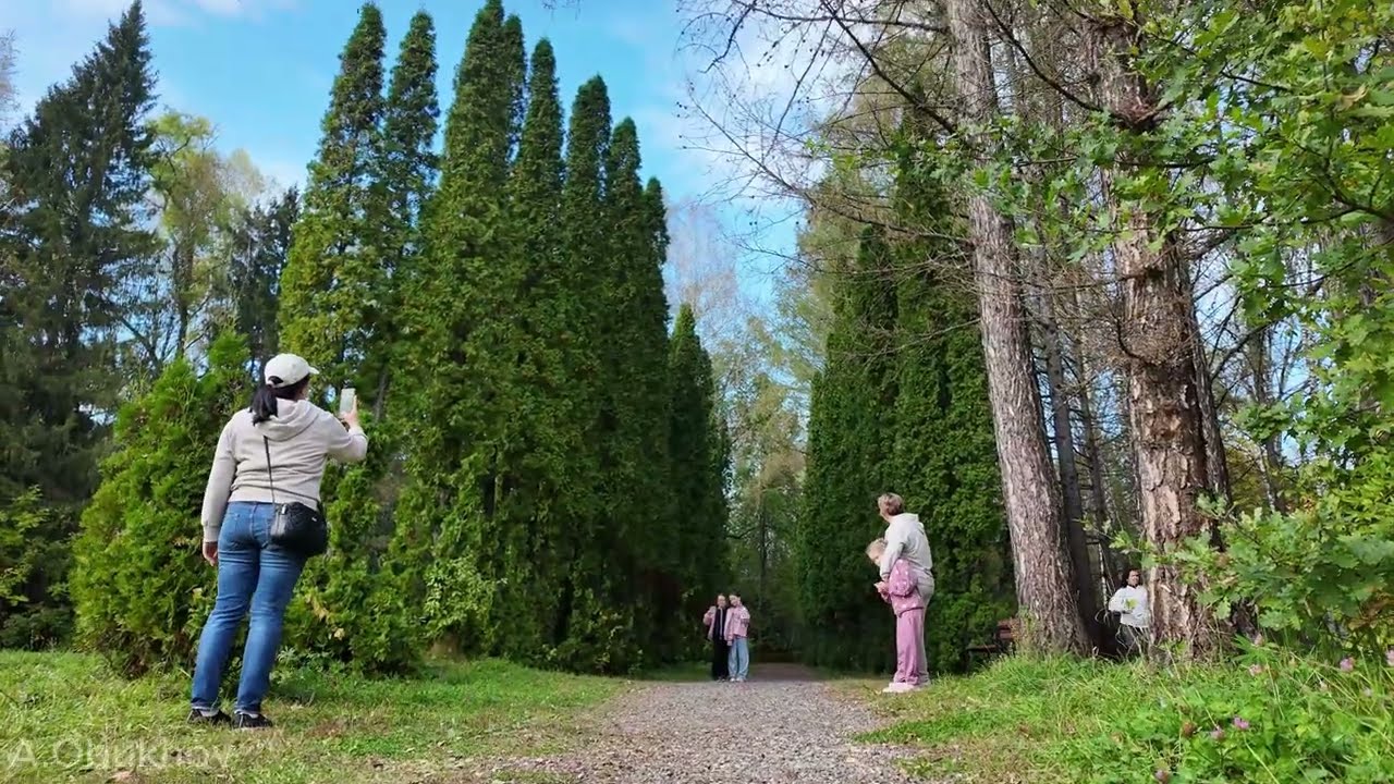 Дендрарий, Казань, Татарстан, Россия. Arboretum, Kazan, Tatarstan, Russia