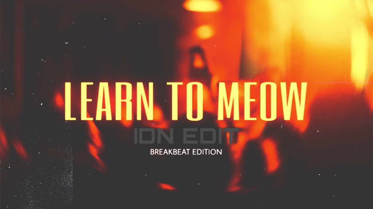 LEARN TO MEOW IDN EDIT